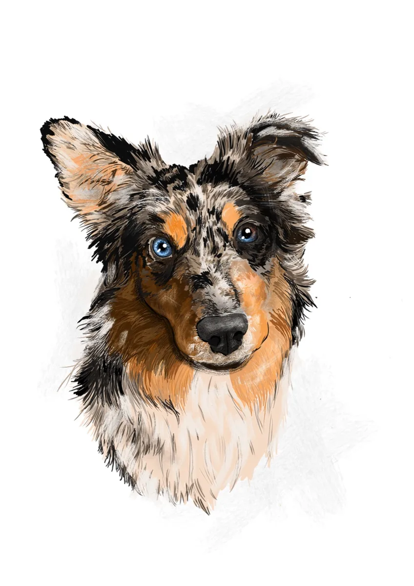 Hachiko, digital gezeichnetes Portrait